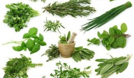 野菜生活爆料视频下载安装,揭秘视频下载安装全攻略